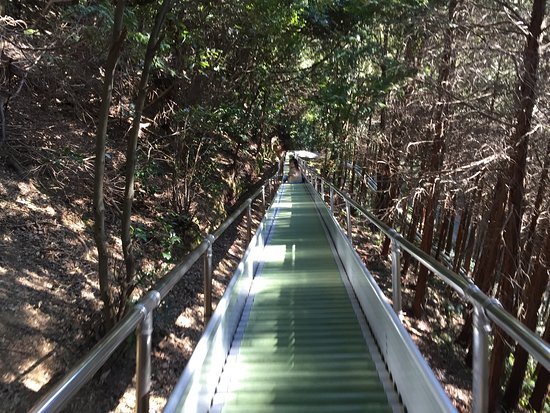 🏞️ 말썽꾸러기 왕국 (완파쿠 오코쿠) 이미지 4